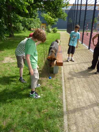 Hund an der Schule Hund an der Schule